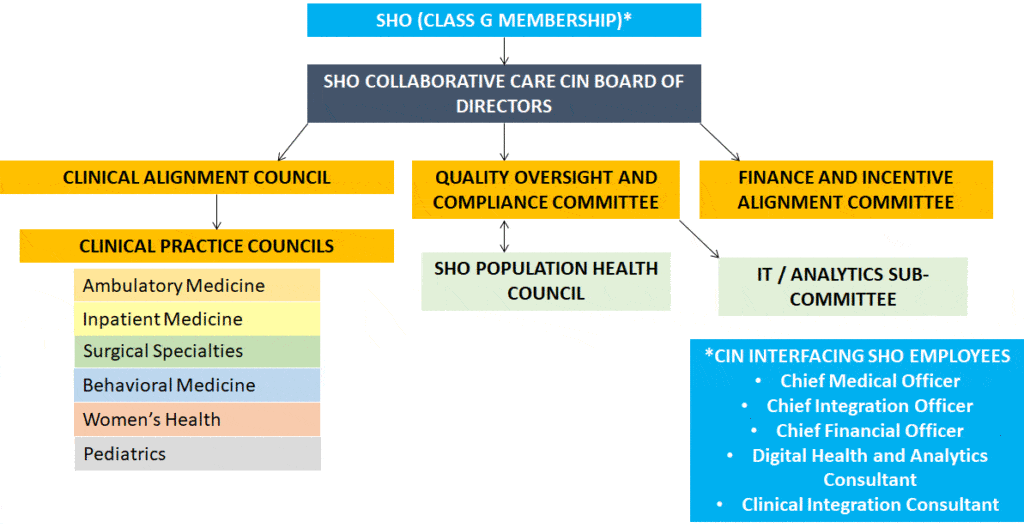 Graphic depiction of CIN structure.